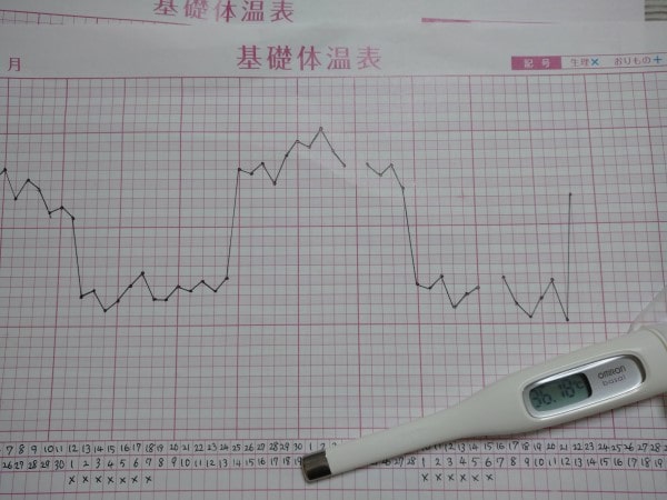 基礎体温表